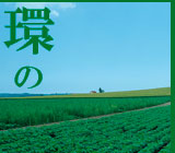 環の